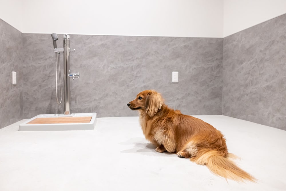 施設内の設備1 | ワンワールド堺筋本町 施設内の設備1 | ワンワールド堺筋本町