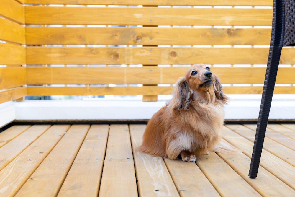 ハウス テラス / パティオ5 | ワンワールド堺筋本町