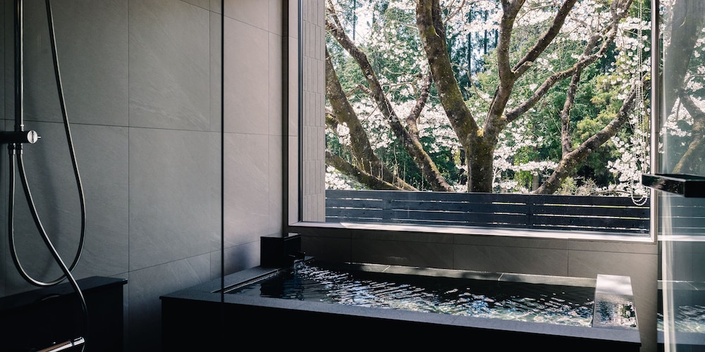 温泉1 | テフ谷汲