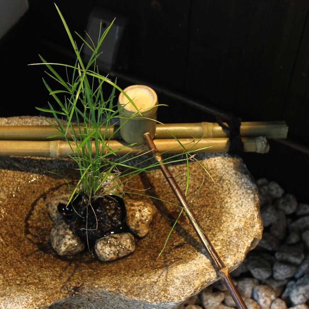 トラディショナル ハウス 客室2 | 清水びろうど庵