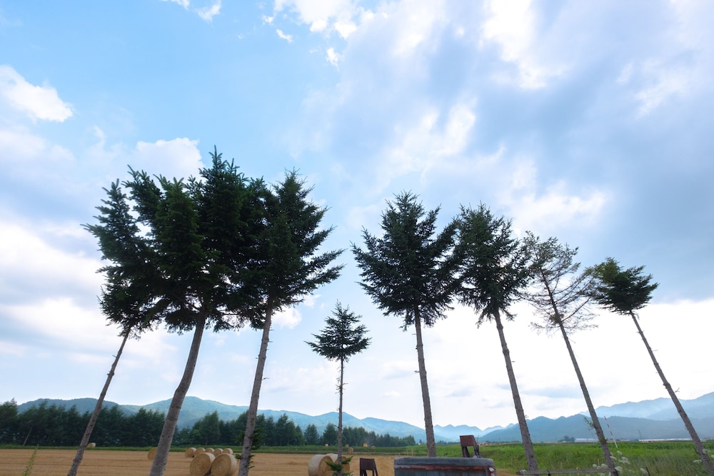 ファミリー コテージ 部屋からの景観1 | Furano Log House Farm Resort