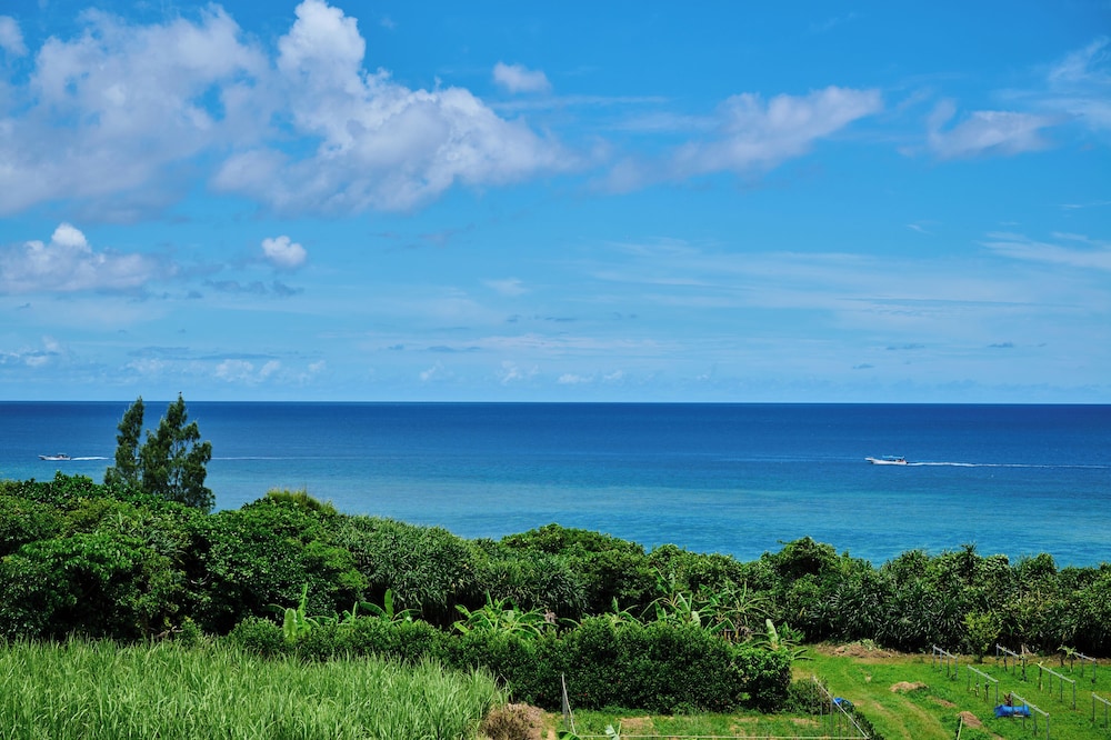 ラグジュアリー コンドミニアム バルコニーからの眺望0 | Grand blue 303