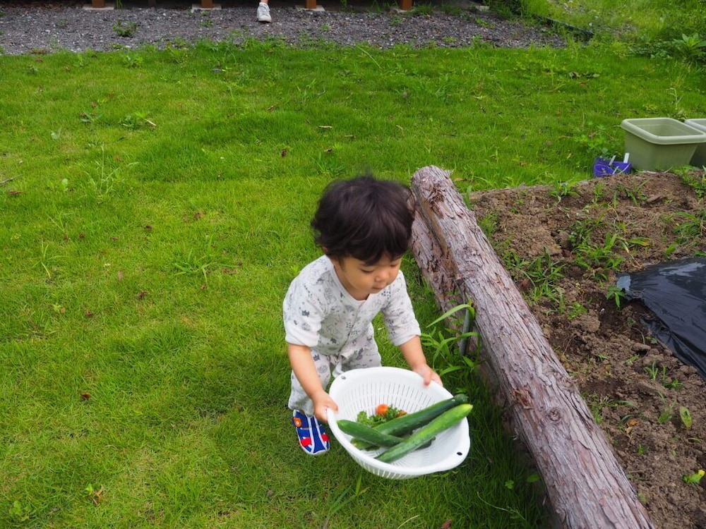 コテージ テラス / パティオ0 | ささやかなおうち S 禾