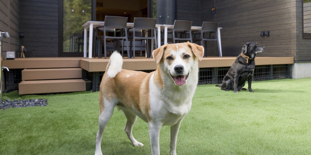 [A棟] 102平米/ペット可/天然温泉, サウナ, ドッグラン付き テラス / パティオ0 | Rakuten STAY VILLA 日光