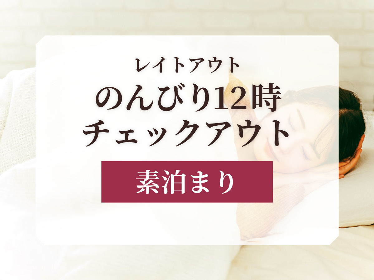 【レイトアウト】朝寝坊さんも安心！のんびり12時チェックアウトでゆったりSTAY＜素泊まり＞