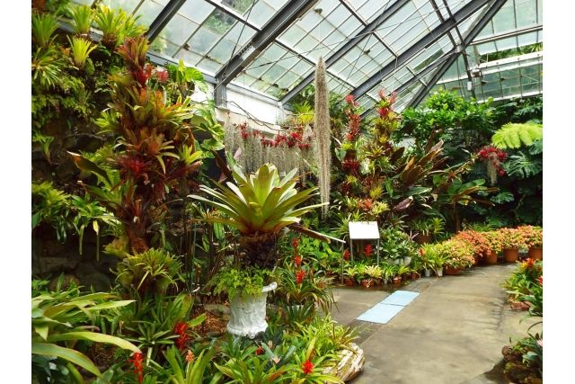 【200円割引】熱川バナナワニ園 入園クーポン-9