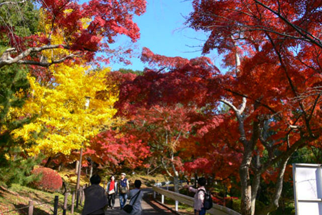 成田山書道美術館-7