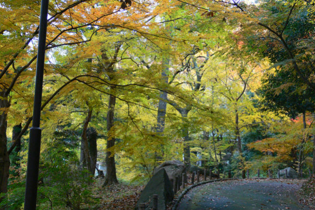 成田山書道美術館-2