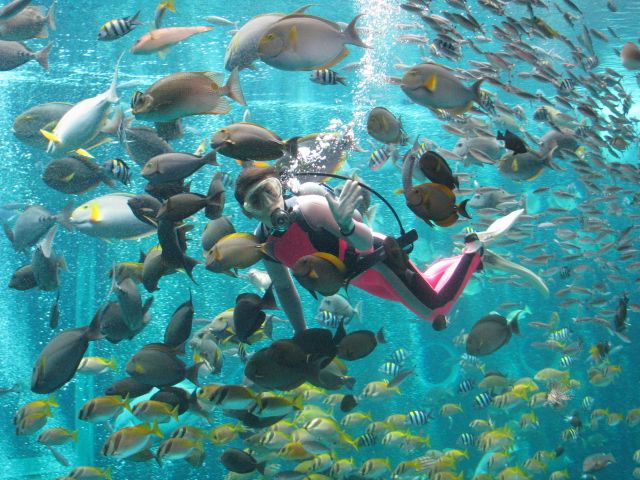 【最大200円割引】箱根園水族館 入場チケット-2