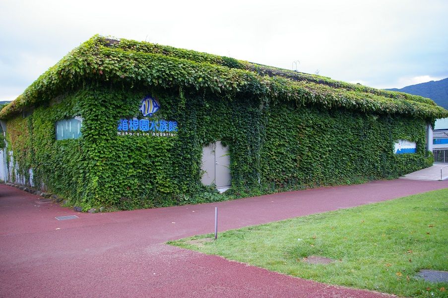 【最大200円割引】箱根園水族館 入場チケット-3