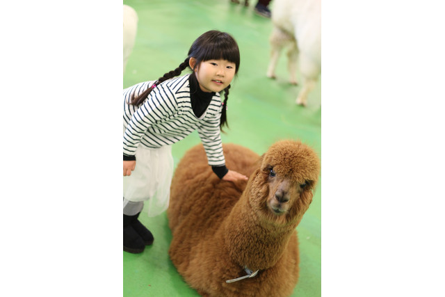 Moff animal world BIGHOPガーデンモール印西店-3