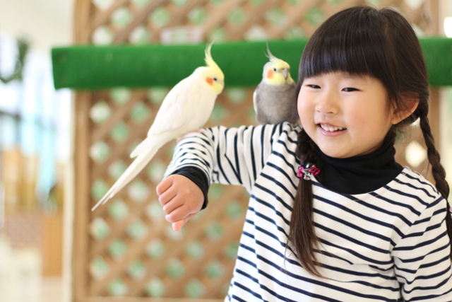 Moff animal world BIGHOPガーデンモール印西店-1