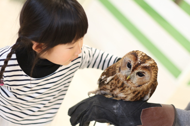 Moff animal world BIGHOPガーデンモール印西店-2