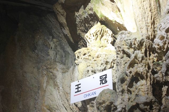 【100円割引】飛騨大鍾乳洞＆大橋コレクション館 入場クーポン-15