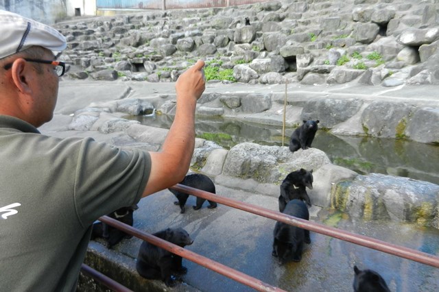 奥飛騨クマ牧場-3