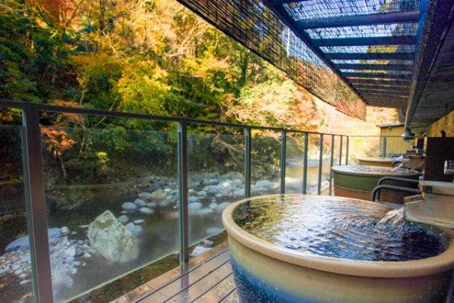 【伊豆市民限定】【木太刀の湯】リブマックスリゾート天城湯ヶ島 チケット（入館＋フェイスタオル）-8