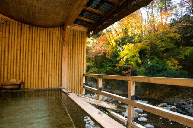【木太刀の湯】リブマックスリゾート天城湯ヶ島 チケット（入館＋タオルセット）-3