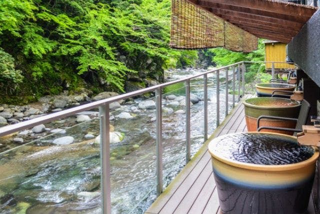 【木太刀の湯】リブマックスリゾート天城湯ヶ島 チケット（入館＋タオルセット）-2