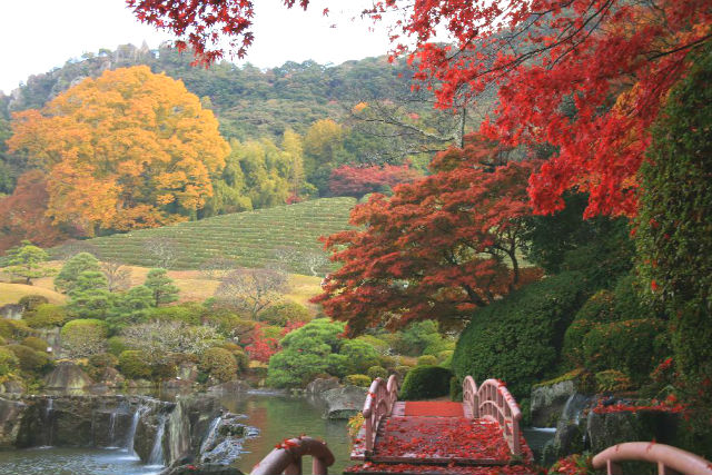 陽光美術館・日本庭園 慧洲園-19