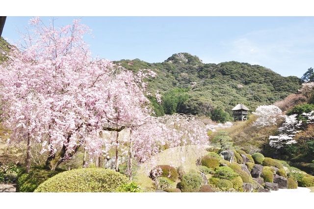 陽光美術館・日本庭園 慧洲園-1