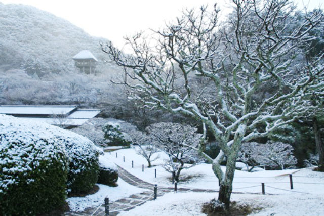 陽光美術館・日本庭園 慧洲園-12