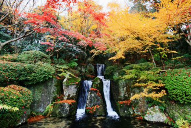陽光美術館・日本庭園 慧洲園-8