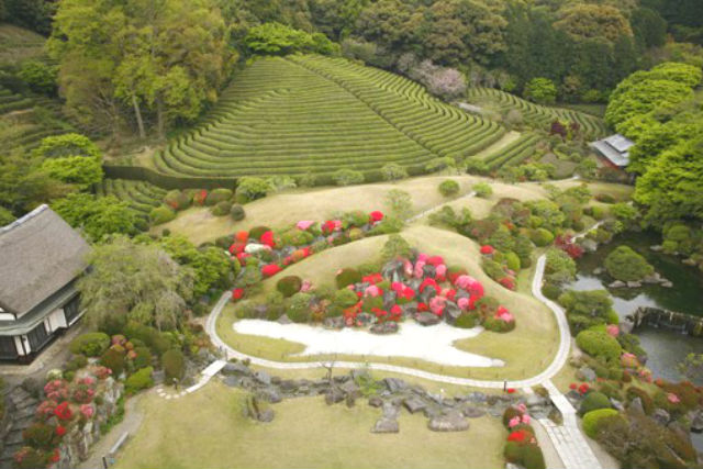 陽光美術館・日本庭園 慧洲園-11