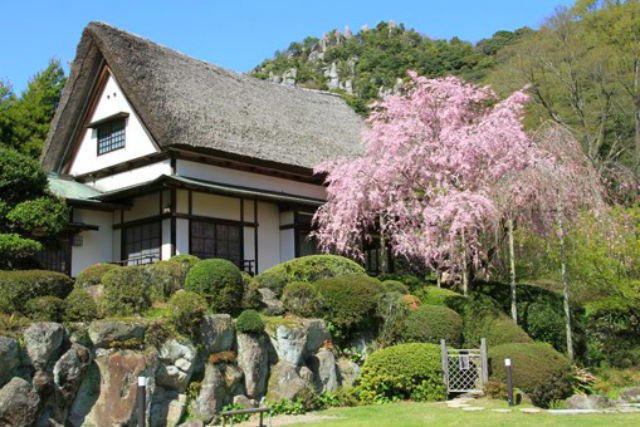 陽光美術館・日本庭園 慧洲園-45
