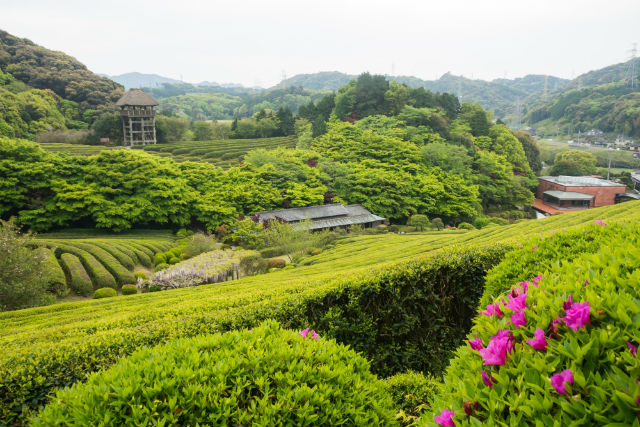 陽光美術館・日本庭園 慧洲園-44