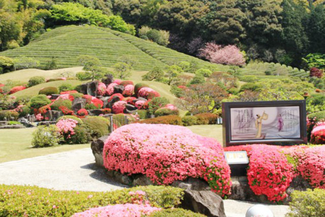 陽光美術館・日本庭園 慧洲園-35