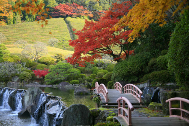 陽光美術館・日本庭園 慧洲園-42