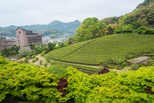 陽光美術館・日本庭園 慧洲園-43