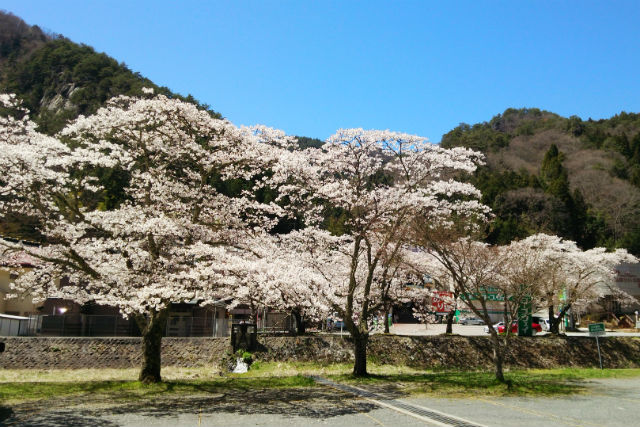 昇仙峡ロープウェイ-9