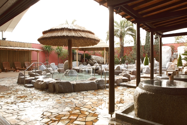 【土日祝・最大50円割引】天然温泉かきつばた クーポン（入館料＋レンタルタオルセット）-14