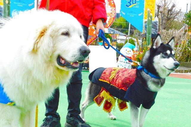 【最大210円割引】IPCわんわん動物園　入館クーポン-6
