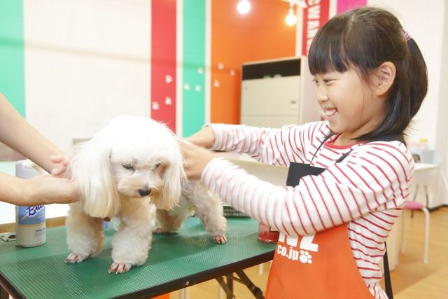 【最大210円割引】IPCわんわん動物園　入館クーポン-2