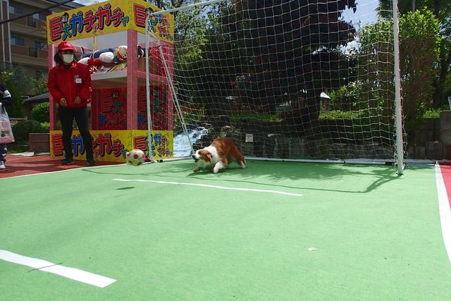 【最大210円割引】IPCわんわん動物園　入館クーポン-5
