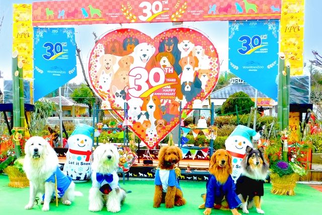 【最大210円割引】IPCわんわん動物園　入館クーポン-10
