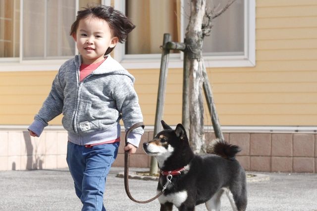 【最大210円割引】IPCわんわん動物園　入館クーポン-1