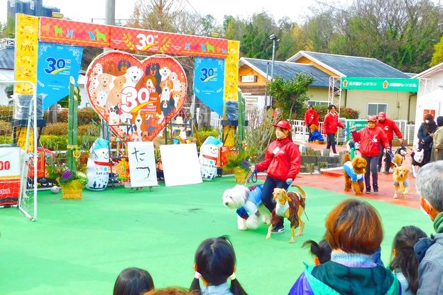 【最大210円割引】IPCわんわん動物園　入館クーポン-9