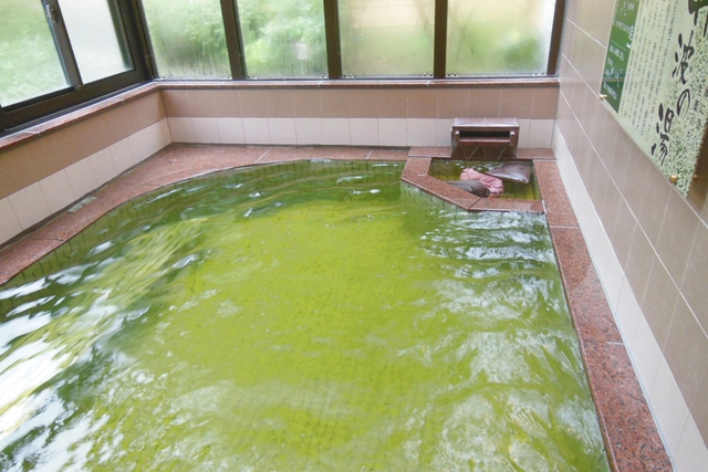 【13％割引】丹波市立薬草薬樹公園 丹波の湯 クーポン（入浴＋お食事）-3