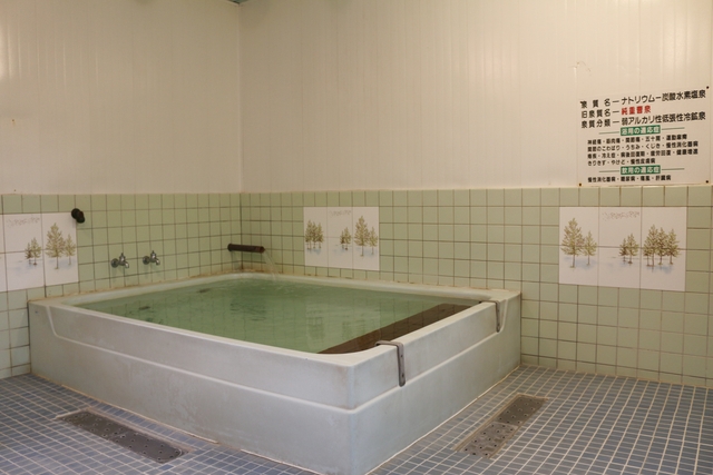 【最大50円割引】奥熊野温泉　女神の湯 入浴クーポン-2