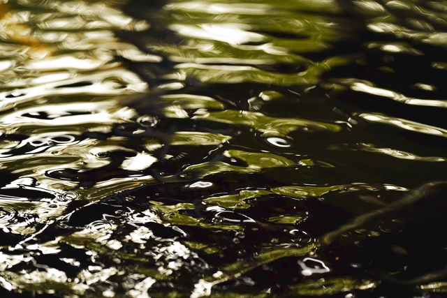 【平日・最大13％割引】三田天然温泉　寿ノ湯　クーポン（入浴＋レンタルタオル）-8