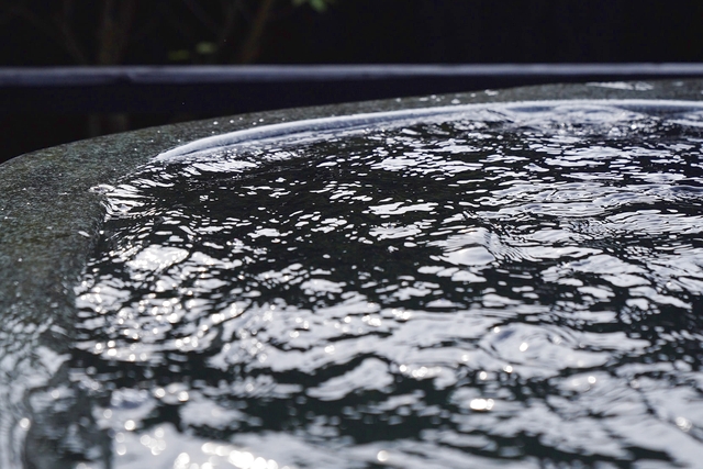 【平日・最大13％割引】三田天然温泉　寿ノ湯　クーポン（入浴＋レンタルタオル）-6