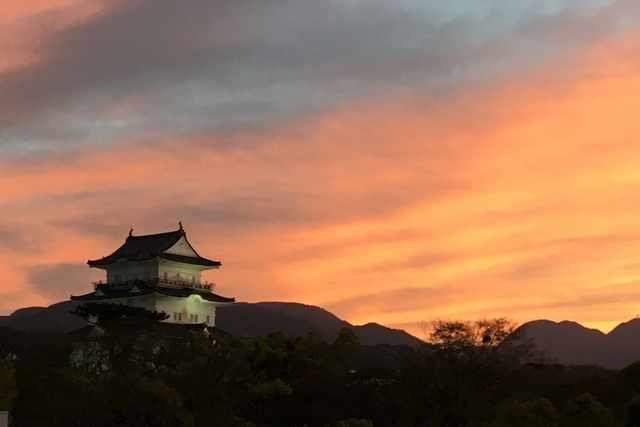 小田原城-15