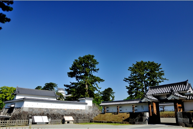 小田原城-22