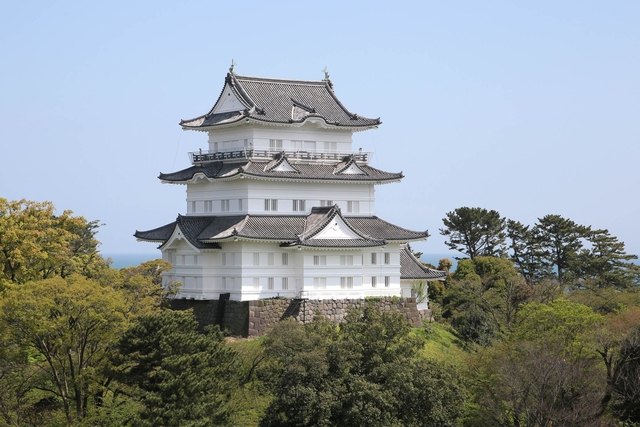 小田原城-14