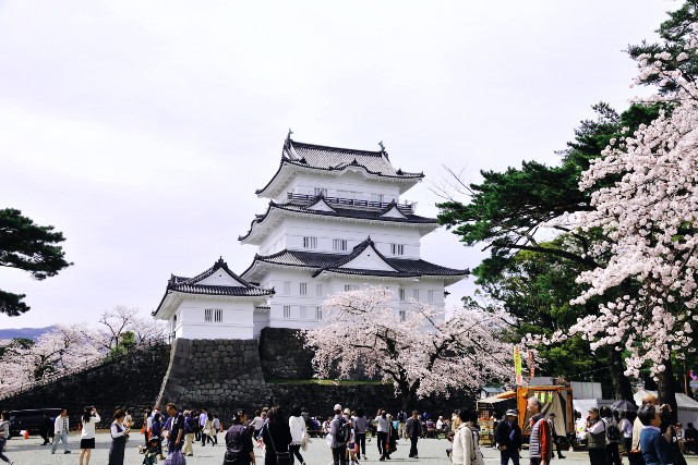 小田原城-11