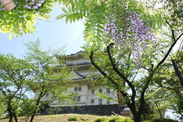 小田原城-8