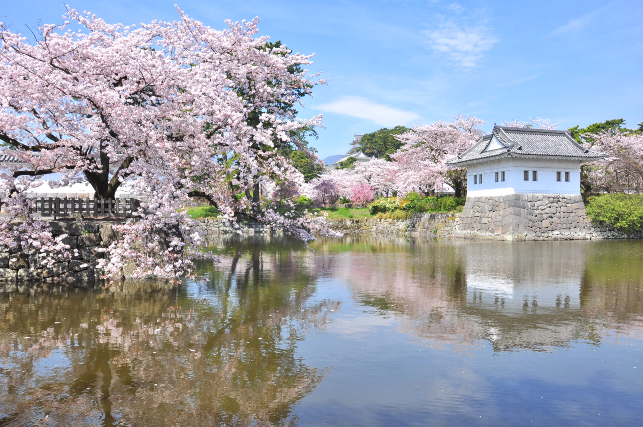 小田原城-2